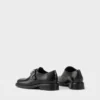 Zapatos Ellis
